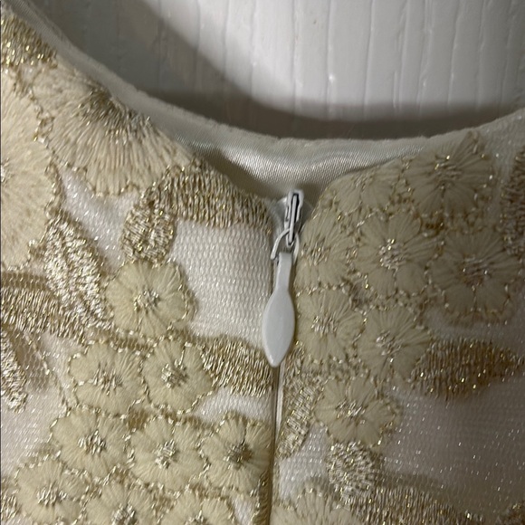 American Princess Cream and Gold Formal Dress - Picture 3 of 7